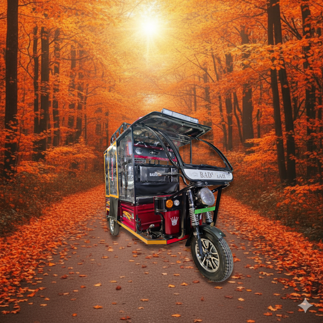 Main view of the BADSHAH cabin-van E-Rickshaw